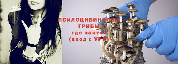 трава Абинск