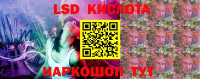кокс Донской