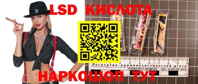кокс Донской