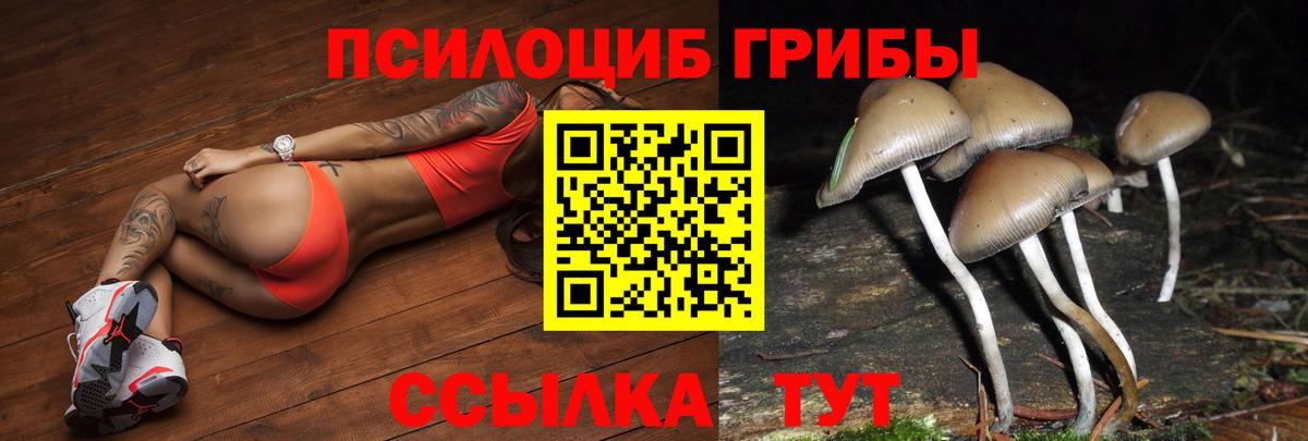 Нижнекамск  Галлюциногенные грибы Cubensis  где купить   Вход с VPN 